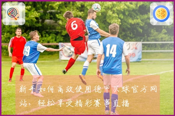 新手如何高效使用德甲买球官方网站，轻松享受精彩赛事直播