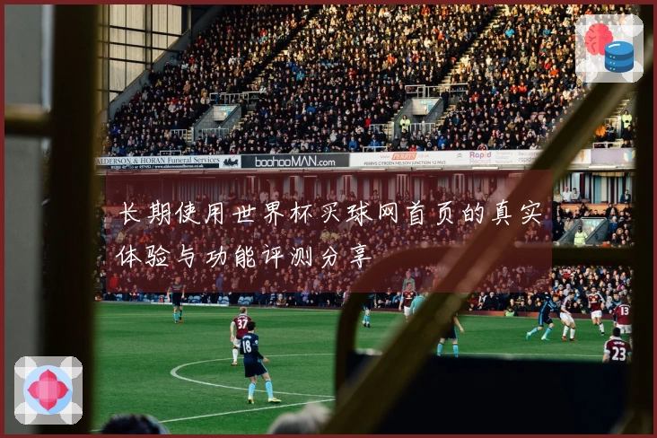 长期使用世界杯买球网首页的真实体验与功能评测分享