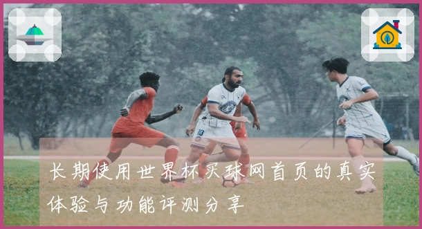 长期使用世界杯买球网首页的真实体验与功能评测分享