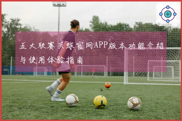五大联赛买球官网APP版本功能介绍与使用体验指南